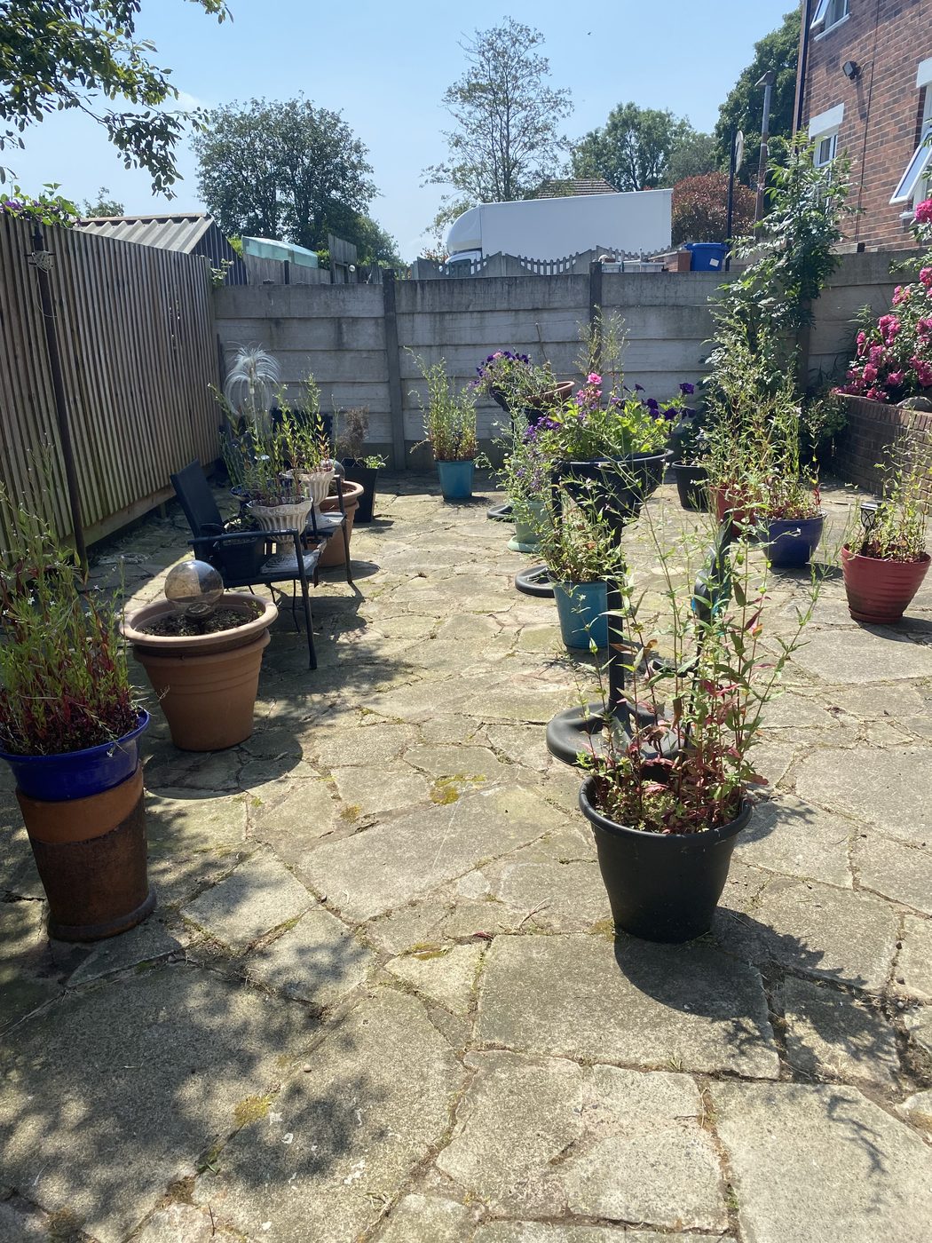 Garden clean up in Blackburn - after