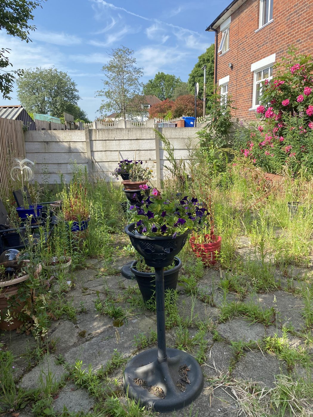 Garden clean up in Blackburn - before