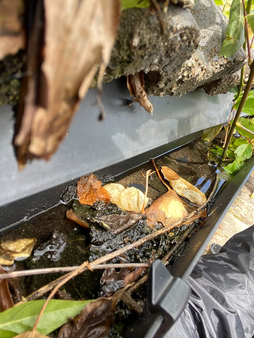 Gutter cleaning in Blackburn - before